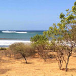 Beachfront Properties - El Astillero Eco-Friendly Resort